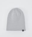 Echo 2022 Beanie Men Light Grey