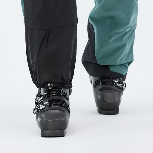 Elastische Sneeuwvanger