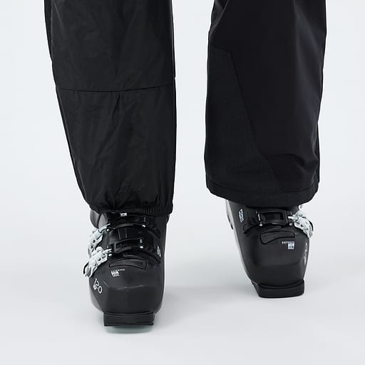 Elastische Sneeuwvanger