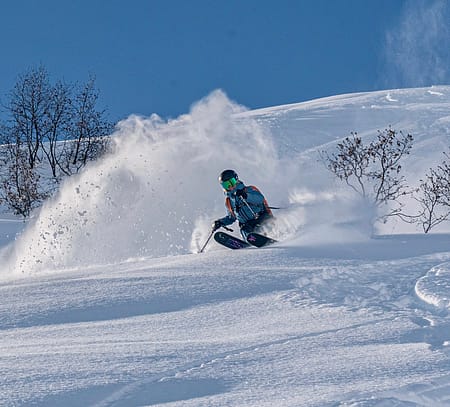 Image 2 of 3 - Kristi Leskinen Skiing