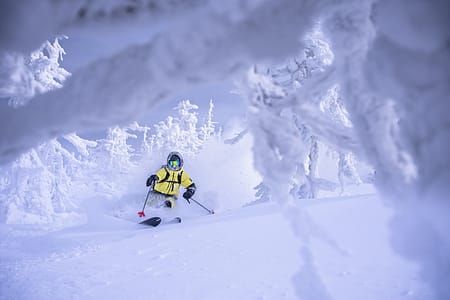 Image 2 of 3 - Zach Munro